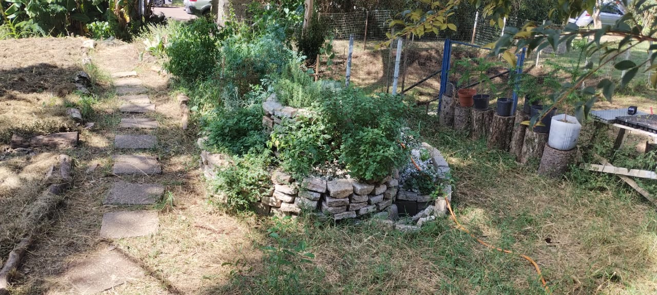 Espiral de ervas madura e produtiva